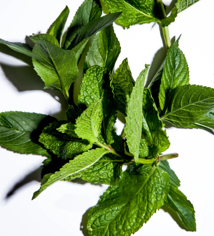 Fresh mint leaves