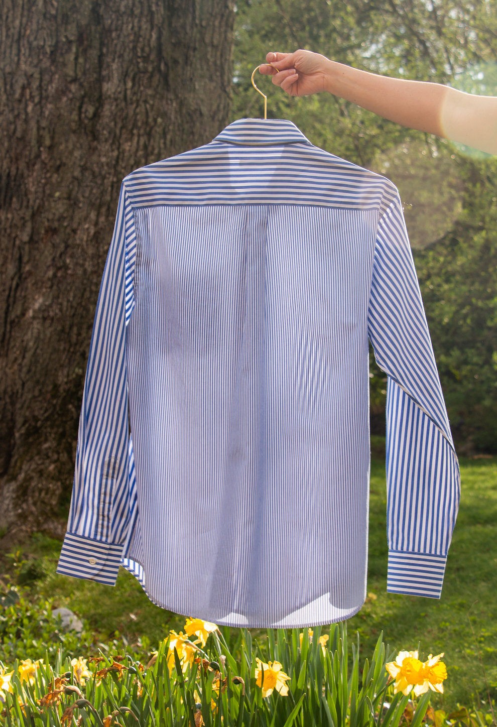 Blue & white striped button down long sleeve shirt with collar on hanger - back view