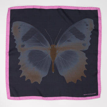 Butterfly silk square- black center with pink edge