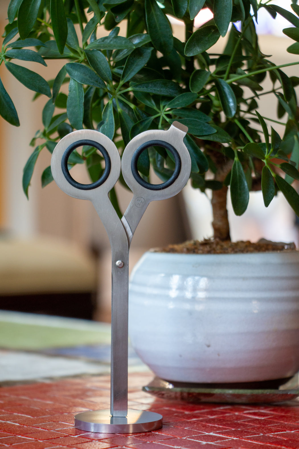 Sleek stainless steel scissors with plant in background