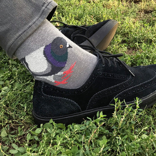 Grey pigeon sock on model with grey pants and black shoes